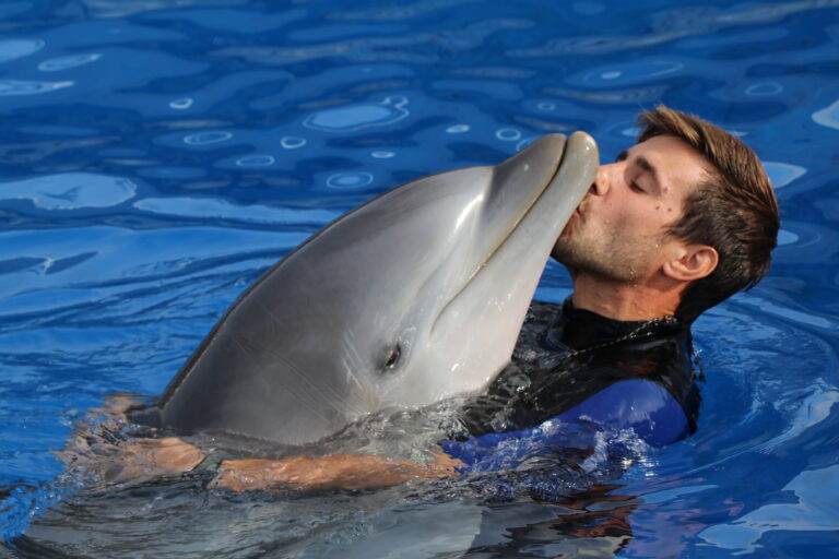 Diada familiar a Marineland